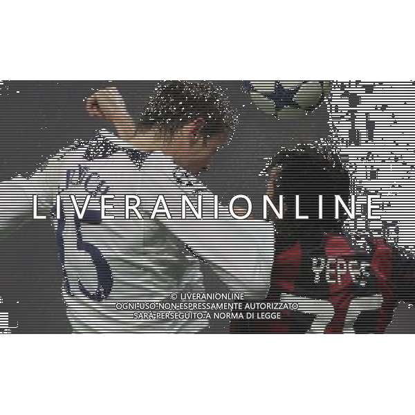 Milan - Tottenham Champions League 15/02/2011 nella foto crouch e yepes ©luzzani/Agenzia Aldo Liverani Sas