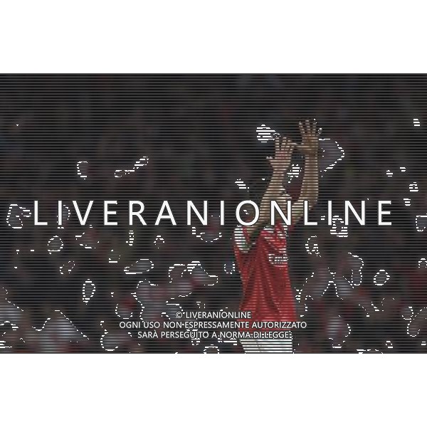 Arsenal\'s Robin van Persie celebrates his goal after scoring against Barcelona during the UEFA Champions League first round of 16 match between Arsenal and Barcelona FC in the Emirates Stadium, north London, Britain, 16 February 2011. AG. ALDO LIVERANI SAS ITALY ONLY