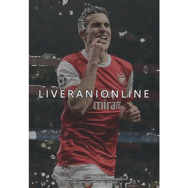 Arsenal\'s Robin van Persie celebrates his goal after scoring against Barcelona during the UEFA Champions League first round of 16 match between Arsenal and Barcelona FC in the Emirates Stadium, north London, Britain, 16 February 2011. AG. ALDO LIVERANI SAS ITALY ONLY