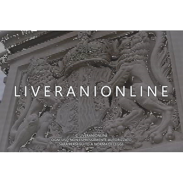 Details of Royal crests near Buckingham Palace in London AG. ALDO LIVERANI SAS ITALY ONLY