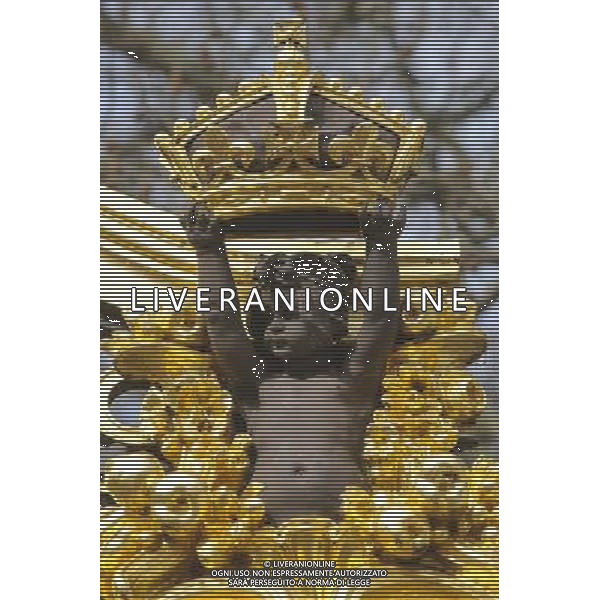 Details of Gildings on the Gates close to Buckingham Palace in London AG. ALDO LIVERANI SAS ITALY ONLY