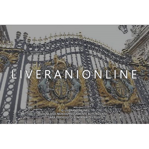 Details of Gildings on the Gates of Buckingham Palace in London AG. ALDO LIVERANI SAS ITALY ONLY