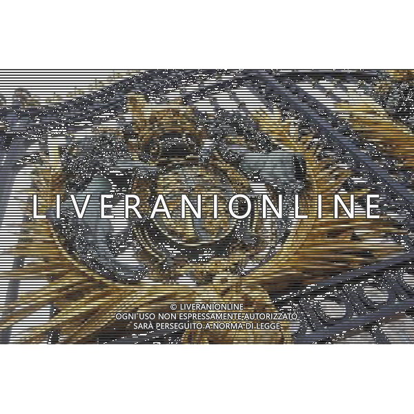 Details of Gildings on the Gates of Buckingham Palace in London AG. ALDO LIVERANI SAS ITALY ONLY