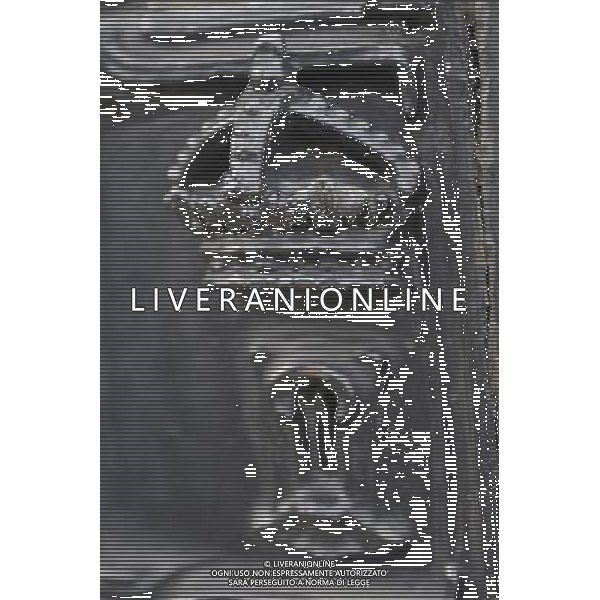 Royal Details on the Gates of Buckingham Palace in London AG. ALDO LIVERANI SAS ITALY ONLY