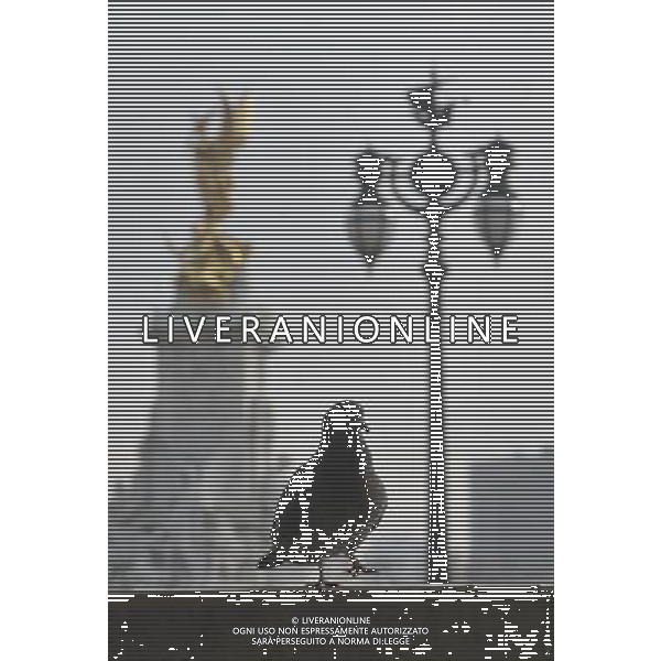 The Queen Victoria Memorial in front of Buckingham palace in London AG. ALDO LIVERANI SAS ITALY ONLY