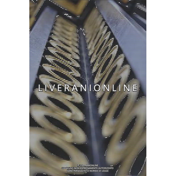 A detail of the Gates close to the front of Buckingham palace in London AG. ALDO LIVERANI SAS ITALY ONLY