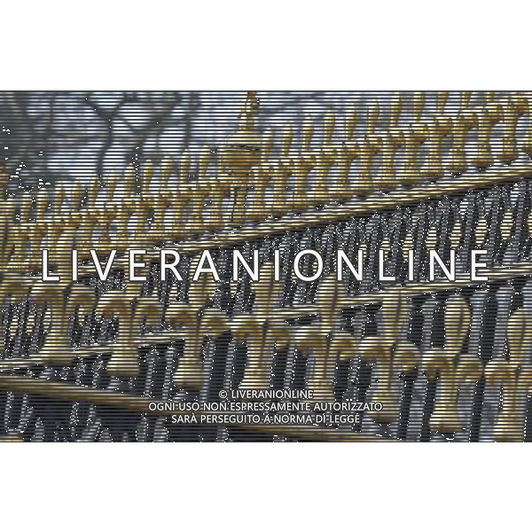 A detail of the railings in front of Buckingham palace in London AG. ALDO LIVERANI SAS ITALY ONLY