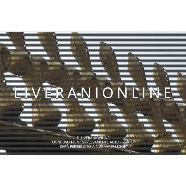 A detail of the railings in front of Buckingham palace in London AG. ALDO LIVERANI SAS ITALY ONLY