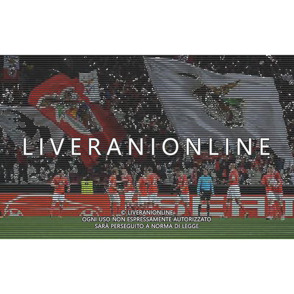20110217: LISBON, PORTUGAL - SL Benfica vs VfB Stuttgart: Europa League 2010/2011, 1/16 finals, 1st leg. In picture: Benfica players celebrating goal PHOTO: Alvaro Isidoro/CITYFILES -AG ALDO LIVERANI 