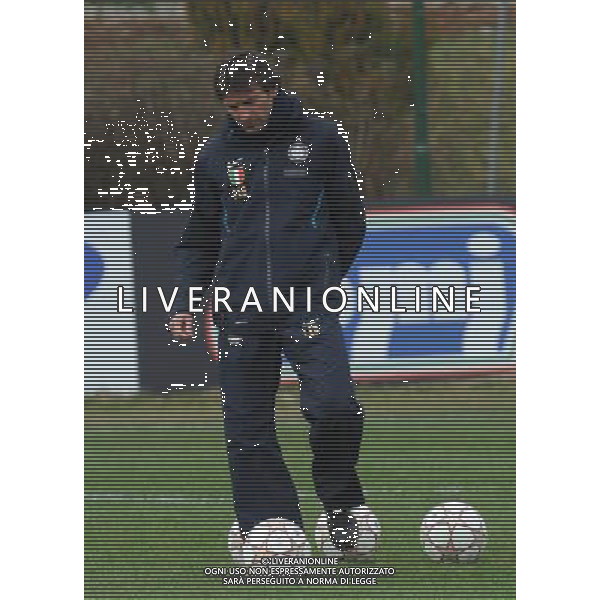 APPIANO GENTILE (CO) 22/2/2011 ALLENAMENTO INTER PER LA PARTITA DI CHAMPIONS LEAGUE CONTRO IL BAYERN MONACO NELLA FOTO LEONARDO FOTO ROMANO/AG ALDO LIVERANI