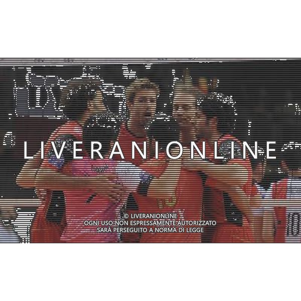 23.02.2011 - Hala Podpromie , Rzeszow . mecz o final Pucharu CEV . Asseco Resovia Rzeszow (czerwono-biale) - Sisley Treviso (czerwono-czarne) n/z. Sisley Treviso radosc . Fot. Piotr Charchula / EDYTOR.net/NEWSPIX.PL --- Newspix.pl /AG ALDO LIVERANI PALLAVOLO VOLLEY ASSECO RESOVIA - SISLEY TREVISO - ITALY ONLY - *** Local Caption *** .