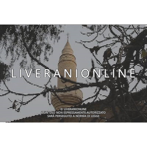 CIPRO-NICOSIA 25.01.2011 NICOSIA - ULICZKI --- STREETS FOT. PIOTR KUCZA/NEWSPIX.PL AGALDOLIVERANI ONLYITALY