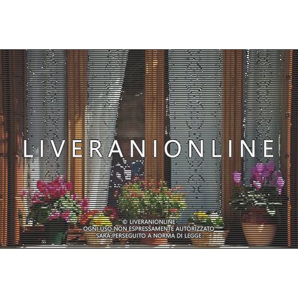 (110309) -- VENICE, March 9, 2011 () -- A woman looks out from a flower-decorated window of her house at Burano, an outlying island northeast of Venice, Italy, March 8, 2011. Villagers of the island have a long tradition to paint their houses colorfully, which today have become the main feature of the island. (/Wang Qingqin) (wjd) Vista della citta\' AG. ALDO LIVERANI SAS ITALY ONLY *** Local Caption *** .