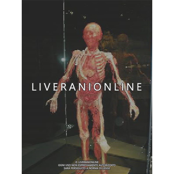 \'Body worlds and the cycle of life\' exhibition at Istanbul Modern antrepo 3 in Istanbul, Turkey. Questa nuova mostra dal medico anatomista e pionieristico Dr. Gunther von Hagens offre una presentazione speciale sul ciclo di vita umana e l\'arco di invecchiamento.La mostra presenta pi di 200 campioni plastinati-real umano conservato attraverso plastilina, il processo di spiccata connotazione scientifica inventata e perfezionata dal dottor von Hagens. AG. ALDO LIVERANI SAS-ITALY ONLY *** Local Caption *** .