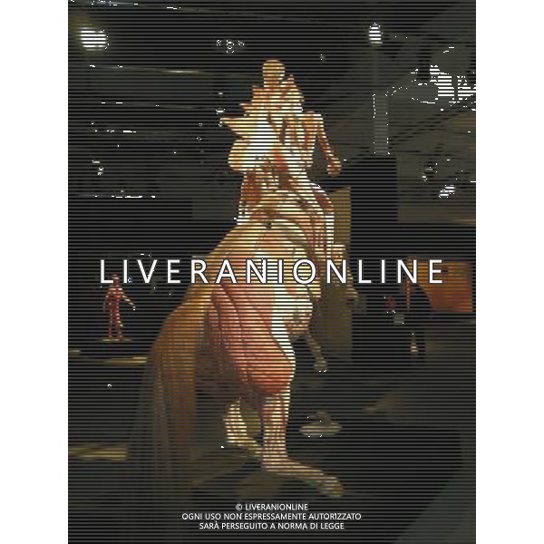 \'Body worlds and the cycle of life\' exhibition at Istanbul Modern antrepo 3 in Istanbul, Turkey. Questa nuova mostra dal medico anatomista e pionieristico Dr. Gunther von Hagens offre una presentazione speciale sul ciclo di vita umana e l\'arco di invecchiamento.La mostra presenta pi di 200 campioni plastinati-real umano conservato attraverso plastilina, il processo di spiccata connotazione scientifica inventata e perfezionata dal dottor von Hagens. AG. ALDO LIVERANI SAS-ITALY ONLY *** Local Caption *** .