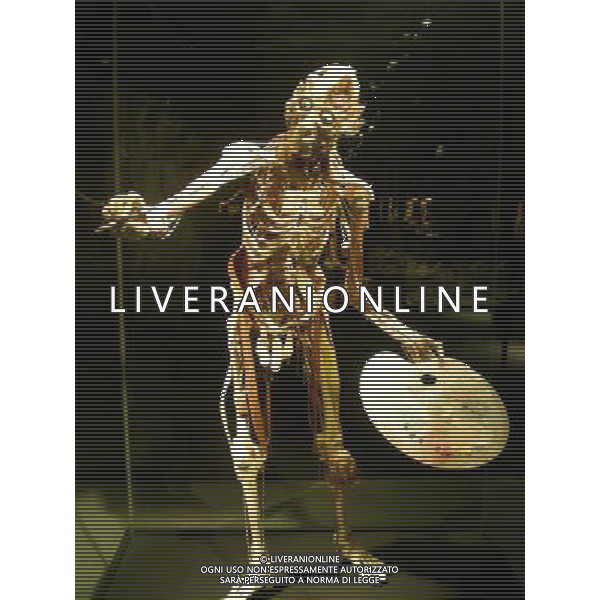 \'Body worlds and the cycle of life\' exhibition at Istanbul Modern antrepo 3 in Istanbul, Turkey. Questa nuova mostra dal medico anatomista e pionieristico Dr. Gunther von Hagens offre una presentazione speciale sul ciclo di vita umana e l\'arco di invecchiamento.La mostra presenta pi di 200 campioni plastinati-real umano conservato attraverso plastilina, il processo di spiccata connotazione scientifica inventata e perfezionata dal dottor von Hagens. AG. ALDO LIVERANI SAS-ITALY ONLY *** Local Caption *** .