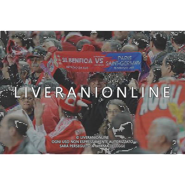 20110310: LISBON, PORTUGAL - SL Benfica vs PSG (Paris Saint Germain): Europa League 2010/2011, round of 8, 1st leg. In picture: Benfica Supporter. PHOTO: Alvaro Isidoro/CITYFILES LIGA EUROPY UEFA SEZON 2010/2011 PILKA NOZNA BENFICA LIZBONA vs PSG FOT. CITYFILES/NEWSPIX.PL PORTUGAL,BRAZIL,SPAIN,GERMANY,FRANCE,UK OUT !!! --- Newspix.pl EUROPA LEAGUE BENFICA PSG ©AG ALDO LIVERANI SAS - ITALY ONLY - *** Local Caption *** .