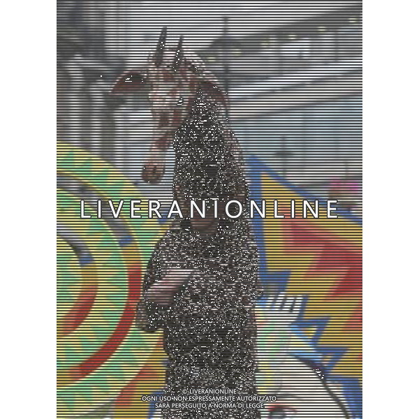 St Patricks Day Festival held in Trafalgar suare. AG. ALDO LIVERANI SAS ITALY ONLY *** Local Caption *** .