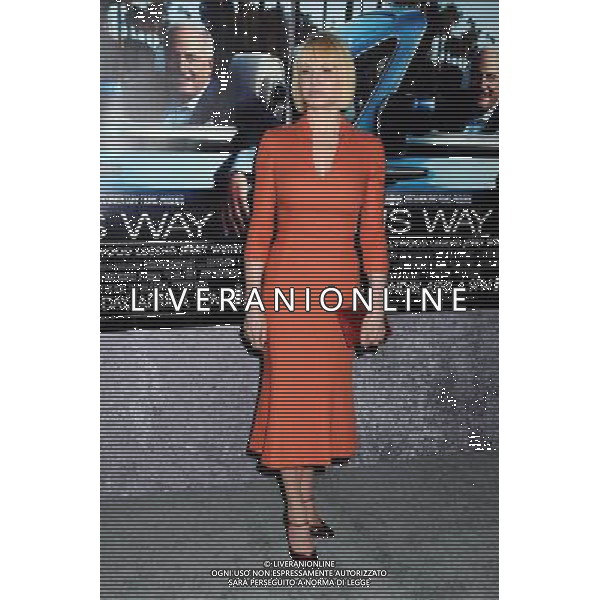 22 March 2011 - Los Angeles, California - Ellen Barkin. HBO\'s \'His Way\' Los Angeles Premiere held at Paramount Studios. Photo Credit: Byron Purvis/AdMedia AG. ALDO LIVERANI SAS ITALY ONLY *** Local Caption *** .