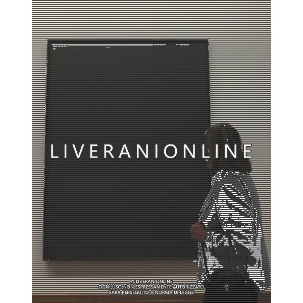 VIENNA, March 23, 2011 An audience views AD Reinhardt\'s oil painting work \'Black on Black No. 8\' at Albertina Museum in Vienna, capital of Austria, March 22, 2011. A re-exhibition of \'Monet to Picasso. The Collection Batliner\' kicked off in Albertina Museum of Vienna Tuesday, some 210 artworks from Claude Monet, Pablo Picasso, Paul Cezanne and other famous artists were shown in the exhibition. Donated by collector couples Herbert and Rita Batliner in 2007, these artworks were on a exhibition tour to Czekh\'s capital Prague and South Korea\'s capital Seoul in 2010. (/Xu Liang) (zf) Collezione Batliner doin esposizione al Museo di Vianna con opere di Monet e Picasso AG. ALDO LIVERANI SAS ITALY ONLY