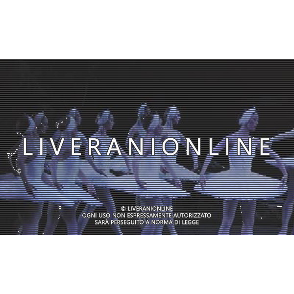 Swan Lake performance at the Coliseum in London Great Britain on 22 March 2011. (FACUNDO ARRIZABALAGA) ©photoshot/Agenzia Aldo Liverani Sas - ITALY ONLY - Ballerini di danza classica durante la rappresentazione dello spettacolo teatrale \'Il Lago dei Cigni\' al Teatro Colosseo di Londra, Inghilterra 22 marzo 2011.