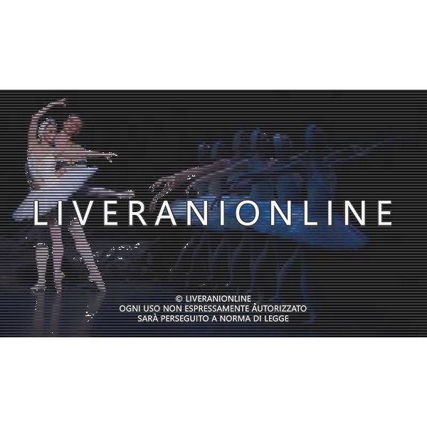 LONDON, UNITED KINGDOM MARCH 22 : Pic Shows Dress Rehearsal for Swan Lake at the Coliseum theater on March, 22nd, 2011 in London, England ©photoshot/Agenzia Aldo Liverani Sas - ITALY ONLY - Ballerini di danza classica durante la rappresentazione dello spettacolo teatrale \'Il Lago dei Cigni\' al Teatro Colosseo di Londra, Inghilterra 22 marzo 2011.