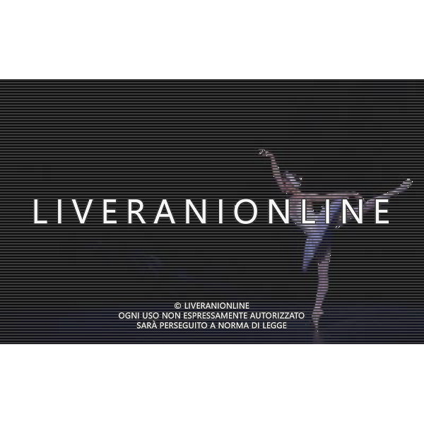 LONDON, UNITED KINGDOM MARCH 22 : Pic Shows Dress Rehearsal for Swan Lake at the Coliseum theater on March, 22nd, 2011 in London, England ©photoshot/Agenzia Aldo Liverani Sas - ITALY ONLY - Ballerini di danza classica durante la rappresentazione dello spettacolo teatrale \'Il Lago dei Cigni\' al Teatro Colosseo di Londra, Inghilterra 22 marzo 2011.