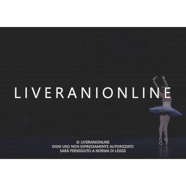 LONDON, UNITED KINGDOM MARCH 22 : Pic Shows Dress Rehearsal for Swan Lake at the Coliseum theater on March, 22nd, 2011 in London, England ©photoshot/Agenzia Aldo Liverani Sas - ITALY ONLY - Ballerini di danza classica durante la rappresentazione dello spettacolo teatrale \'Il Lago dei Cigni\' al Teatro Colosseo di Londra, Inghilterra 22 marzo 2011.