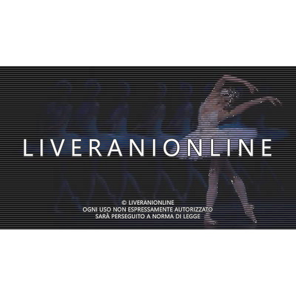 LONDON, UNITED KINGDOM MARCH 22 : Pic Shows Dress Rehearsal for Swan Lake at the Coliseum theater on March, 22nd, 2011 in London, England ©photoshot/Agenzia Aldo Liverani Sas - ITALY ONLY - Ballerini di danza classica durante la rappresentazione dello spettacolo teatrale \'Il Lago dei Cigni\' al Teatro Colosseo di Londra, Inghilterra 22 marzo 2011.