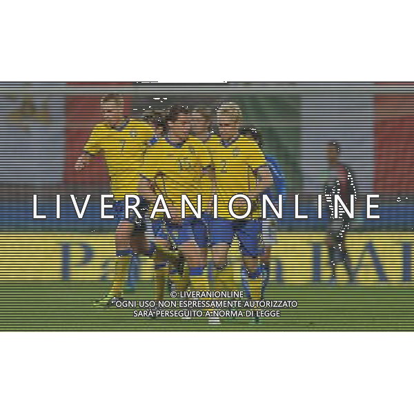 Amichevole Internazionale Reggio Emilia - 24.03.2011 Italia U21-Svezia U21 Nella Foto:larsson esultanza dopo gol /Ph.Vitez-Ag. Aldo Liverani