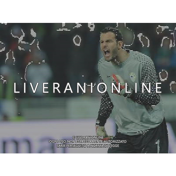 Qualificazioni ai Campionati Europei UEFA EURO 2012 Gruppo C Ljubljana - 25.03.2011 Slovenia-Italia Nella Foto:handanovic /Ph.Vitez-Ag. Aldo Liverani