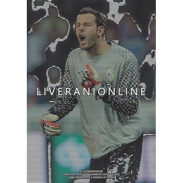 Qualificazioni ai Campionati Europei UEFA EURO 2012 Gruppo C Ljubljana - 25.03.2011 Slovenia-Italia Nella Foto:Samir Handanovic /Ph.Vitez-Ag. Aldo Liverani