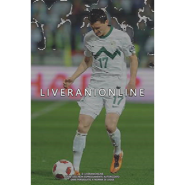 Qualificazioni ai Campionati Europei UEFA EURO 2012 Gruppo C Ljubljana - 25.03.2011 Slovenia-Italia Nella Foto:Andraz Kirm /Ph.Vitez-Ag. Aldo Liverani