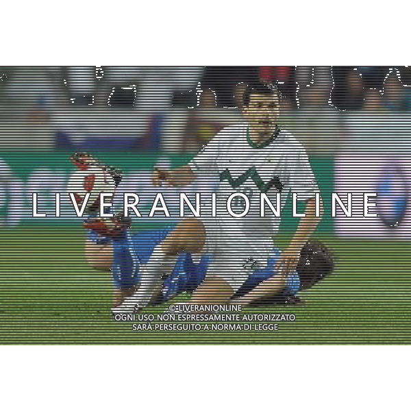 Qualificazioni ai Campionati Europei UEFA EURO 2012 Gruppo C Ljubljana - 25.03.2011 Slovenia-Italia Nella Foto:Aleksandar Radosavljevic /Ph.Vitez-Ag. Aldo Liverani