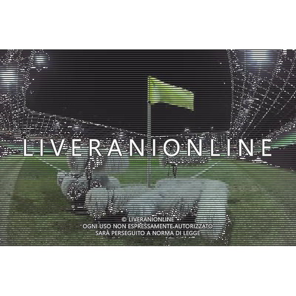 Qualificazioni ai Campionati Europei UEFA EURO 2012 Gruppo C Ljubljana - 25.03.2011 Slovenia-Italia Nella Foto:Campo, calcio, Microfoni, TV /Ph.Vitez-Ag. Aldo Liverani