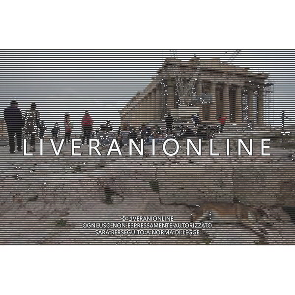 ATENY , GRECJA , ATHENS , GREECE 29.03.2011 NZ widok na akropol partenon swiatynia remont budowa turysta muzeum acropolis general view parthenon renovation construction museum turist FOT. WOJCIECH FIGURSKI / NEWSPIX.PL --- Newspix.pl *** Local Caption *** www.newspix.pl mail us: info@newspix.pl call us: 0048 022 23 22 222 --- Polish Picture Agency by Ringier Axel Springer Poland