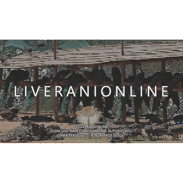 Kunming, 2 aprile 2011 - pavoni in uno zoo di animali selvatici a Kunming, capitale della Cina sud-occidentale della provincia dello Yunnan. ©Yiguang Lin/photoshot/ALDO LIVERANI SAS - ITALY ONLY - *** Local Caption *** .