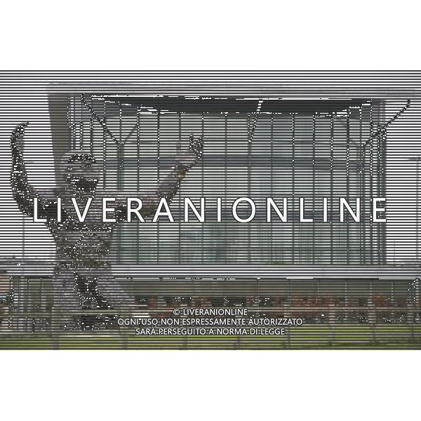 The \'Stonehenge giant\' statue is put up for saleThe Ancestor is being sold because his creators cannot afford to keep him A 22ft (6.70m) steel man that appeared at the summer solstice celebrations at Stonehenge has been put up for sale.The seven ton \'Ancestor\', currently at the Solstice Park, Amesbury, has appeared on an online auction website with a starting bid of £50,000.Created by Andy Rawlings and Michelle Topps, the couple say they \'can\'t afford to keep him anymore\'.\'We took a loan out to make him and we\'ve been paying it back on a monthly basis,\' said Mr Rawlings. \'It\'s economics - we\'ve got to sell him.\'Sunrise at Stonehenge.The monumental statue with \'head thrown back and arms open wide\' cost £35,000 and took the couple nine months to build.It made its debut with a \'special guest appearance\' at last year\'s summer solstice celebrations at Stonehenge.Since then the Stonehenge giant has been in a prominent position next to the A303 in front of the Holiday Inn at the Solstice Park in Amesbury.\'He\'s been there for about nine months and people have got used to him being there,\' said Ms Topps. \'I\'ll be devastated if he goes.\'Created out of thousands of hand-cut pieces of steel welded to a steel frame, the Netheravon couple have been trying to find investors to \'secure the future of the Ancestor\' without success.As a result the sculpture is being offered on eBay with an opening bid of £50,000 and a delivery charge of £1,000 within the UK.\'Since he\'s been on eBay it seems to have chivvied things up a bit,\' said Mr Rawlings.\'Now there\'s talk of him being bought and moved to the Countess roundabout just down the road, so we\'re hoping he won\'t go too far.\' La statua del \'gigante Stonehenge\' viene messa in vendita perchŽ i suoi creatori non pu˜ssono permettersi di tenerla AG. ALDO LIVERANI SAS ITALY ONLY *** Local Caption *** .