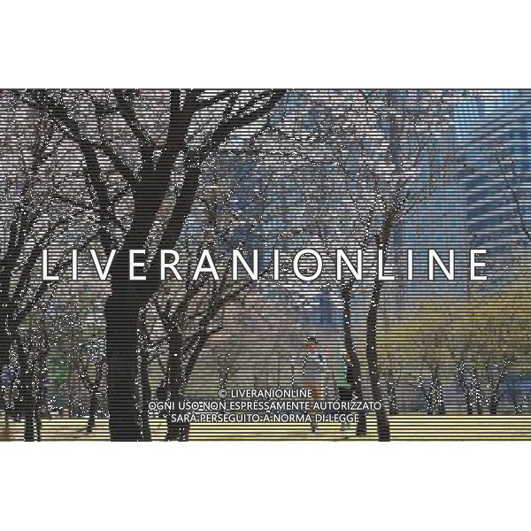 12/4/2011 SEOUL Turisti visatano ciliegi in fiore nei pressi di un lago a Lake Park Seokchon in gu Songpa a Seoul ©photoshot/ALDO IVERANI ITALY ONLY