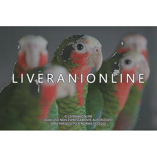 MANILA, 15 aprile 2011 - Uccelli International Inc. (BII) Avicola Park, Breeding and Research Center a Quezon City, Filippine . L\'impianto genera circa 2.000 a 3.000 pappagalli di varie specie annuali, che mira a garantire la conservazione, la conservazione, la sostenibilita\' e la condivisione di specie rare e minacciate di pappagalli. ©Rouelle Umali/ALDO LIVERANI - ITALY ONLY - *** Local Caption *** .