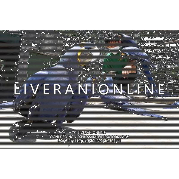 MANILA, 15 aprile 2011 - Uccelli International Inc. (BII) Avicola Park, Breeding and Research Center a Quezon City, Filippine . L\'impianto genera circa 2.000 a 3.000 pappagalli di varie specie annuali, che mira a garantire la conservazione, la conservazione, la sostenibilita\' e la condivisione di specie rare e minacciate di pappagalli. ©Rouelle Umali/ALDO LIVERANI - ITALY ONLY - *** Local Caption *** .