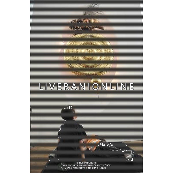 Dr John Taylor stands next to time eating Chronophage clock at the Science Museum and Dr John Taylor poses next to it in London, Great Britain on 18 April 2011. . Corpus Clock è  un orologio installato al Corpus Christi College di Cambridge (Inghilterra) e inventato da John Taylor, collezionista di orologi ed ex studente del college, unendo insieme la tecnologia del 18mo secolo con il design moderno, e sostituendo le lancette con i LEDs. L\'insetto si chiama Chronophage, \'divoratore del tempo\', una versione orrorifica del grasshopper escapement, uno scappamento a bassa frizione per orologi a pendolo messo a punto nel 1722 dall\'orologiaio inglese John Harrison AG. ALDO LIVERANI SAS ITALY ONLY *** Local Caption *** .