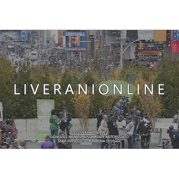 Visitors walk through a \'pop-up forest\' in Times Square in New York on Thursday, April 7, 2011, designated Million Trees Month. Sponsored by AVEENO the green oasis is to be donated to the New York Restoration Project\'s Million Trees initiative which will plant one million new trees in the city by the year 2017. \'foresta di pop-up \' in Times Square a New York , sponsorizzata da Aveeno l\'oasi verde nasce per la donazione di almeno un milione di alberi da piantare nella citta AG. ALDO LIVERANI SAS ITALY ONLY *** Local Caption *** .