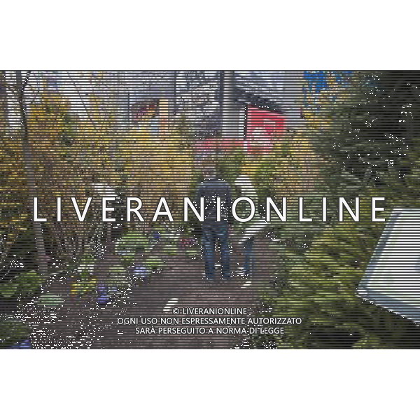 Visitors walk through a \'pop-up forest\' in Times Square in New York on Thursday, April 7, 2011, designated Million Trees Month. Sponsored by AVEENO the green oasis is to be donated to the New York Restoration Project\'s Million Trees initiative which will plant one million new trees in the city by the year 2017. \'foresta di pop-up \' in Times Square a New York , sponsorizzata da Aveeno l\'oasi verde nasce per la donazione di almeno un milione di alberi da piantare nella citta AG. ALDO LIVERANI SAS ITALY ONLY *** Local Caption *** .