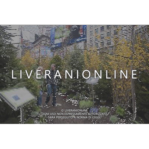 Visitors walk through a \'pop-up forest\' in Times Square in New York on Thursday, April 7, 2011, designated Million Trees Month. Sponsored by AVEENO the green oasis is to be donated to the New York Restoration Project\'s Million Trees initiative which will plant one million new trees in the city by the year 2017. \'foresta di pop-up \' in Times Square a New York , sponsorizzata da Aveeno l\'oasi verde nasce per la donazione di almeno un milione di alberi da piantare nella citta AG. ALDO LIVERANI SAS ITALY ONLY *** Local Caption *** .