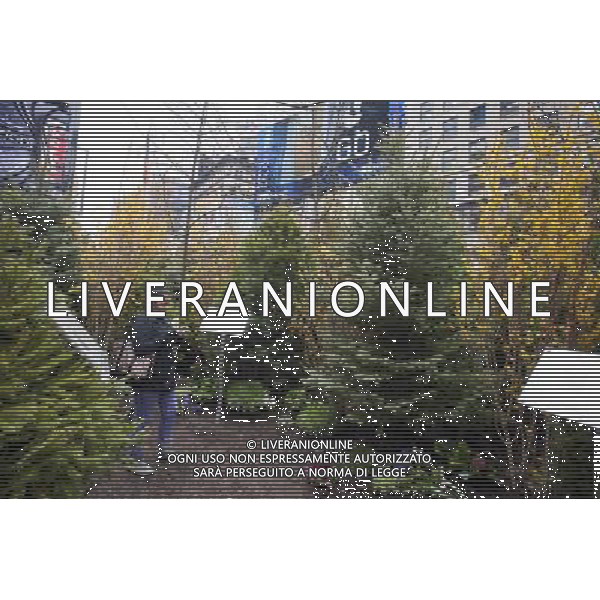 Visitors walk through a \'pop-up forest\' in Times Square in New York on Thursday, April 7, 2011, designated Million Trees Month. Sponsored by AVEENO the green oasis is to be donated to the New York Restoration Project\'s Million Trees initiative which will plant one million new trees in the city by the year 2017. \'foresta di pop-up \' in Times Square a New York , sponsorizzata da Aveeno l\'oasi verde nasce per la donazione di almeno un milione di alberi da piantare nella citta AG. ALDO LIVERANI SAS ITALY ONLY *** Local Caption *** .