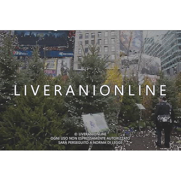 Visitors walk through a \'pop-up forest\' in Times Square in New York on Thursday, April 7, 2011, designated Million Trees Month. Sponsored by AVEENO the green oasis is to be donated to the New York Restoration Project\'s Million Trees initiative which will plant one million new trees in the city by the year 2017. \'foresta di pop-up \' in Times Square a New York , sponsorizzata da Aveeno l\'oasi verde nasce per la donazione di almeno un milione di alberi da piantare nella citta AG. ALDO LIVERANI SAS ITALY ONLY *** Local Caption *** .