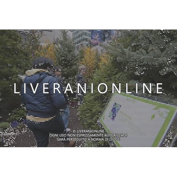 Visitors walk through a \'pop-up forest\' in Times Square in New York on Thursday, April 7, 2011, designated Million Trees Month. Sponsored by AVEENO the green oasis is to be donated to the New York Restoration Project\'s Million Trees initiative which will plant one million new trees in the city by the year 2017. \'foresta di pop-up \' in Times Square a New York , sponsorizzata da Aveeno l\'oasi verde nasce per la donazione di almeno un milione di alberi da piantare nella citta AG. ALDO LIVERANI SAS ITALY ONLY *** Local Caption *** .