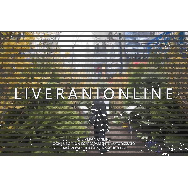 Visitors walk through a \'pop-up forest\' in Times Square in New York on Thursday, April 7, 2011, designated Million Trees Month. Sponsored by AVEENO the green oasis is to be donated to the New York Restoration Project\'s Million Trees initiative which will plant one million new trees in the city by the year 2017. \'foresta di pop-up \' in Times Square a New York , sponsorizzata da Aveeno l\'oasi verde nasce per la donazione di almeno un milione di alberi da piantare nella citta AG. ALDO LIVERANI SAS ITALY ONLY *** Local Caption *** .