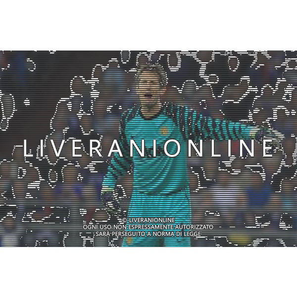 EDVIN VAN DER SAR SCHALKE 04 GELSENKIRCHEN (NIEBIESKO-BIALE - BLUE-WHITE) - MANCHESTER UNITED (CZERWONO-CZARNE / RED-BLACK) PILKA NOZNA, FOOTBALL, 1/2 FINALU LIGI MISTRZOW, CHAMPIONS LEAGUE SEMI-FINAL 26.04.2011, GELSENKIRCHEN - NIEMCY, GERMANY FOT. DARIUSZ HERMIERSZ / SPORT-FOTO.PL / NEWSPIX.PL --- Newspix.pl ag aldo liverani s a s only italy *** Local Caption *** www.newspix.pl mail us: info@newspix.pl call us: 0048 022 23 22 222 --- Polish Picture Agency by Ringier Axel Springer Poland